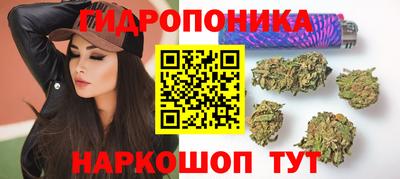 мдпв Тулун