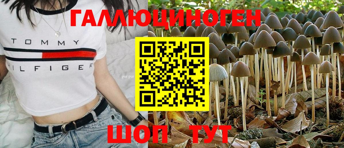 Псилоцибиновые грибы Psilocybine cubensis  Вход с VPN  Малгобек 
