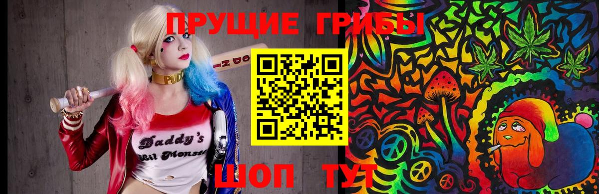 Псилоцибиновые грибы Cubensis Малгобек
